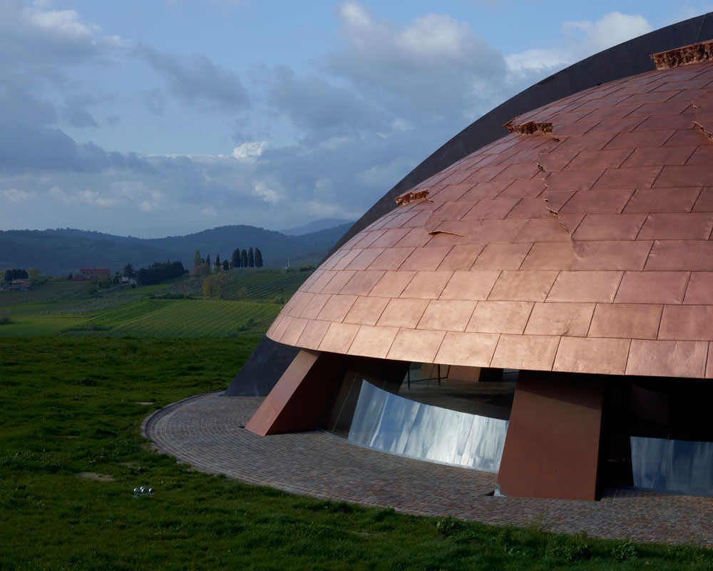 gallery_carapace_03a