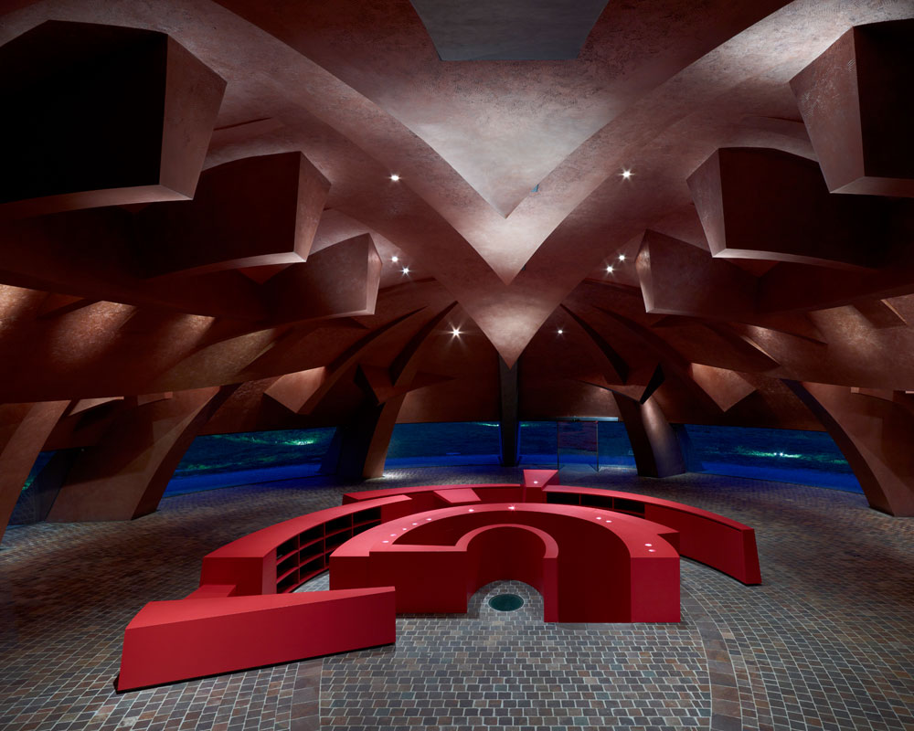 gallery_carapace_07a